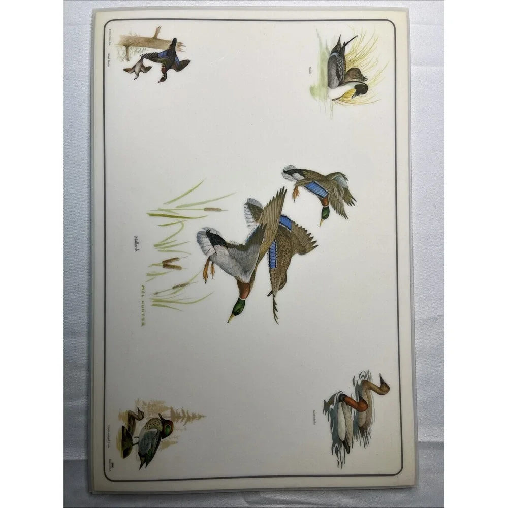 6 Vtg 1969 Placemats & Descriptions Mel Hunter Ducks Mallard Winged Teal 17x11